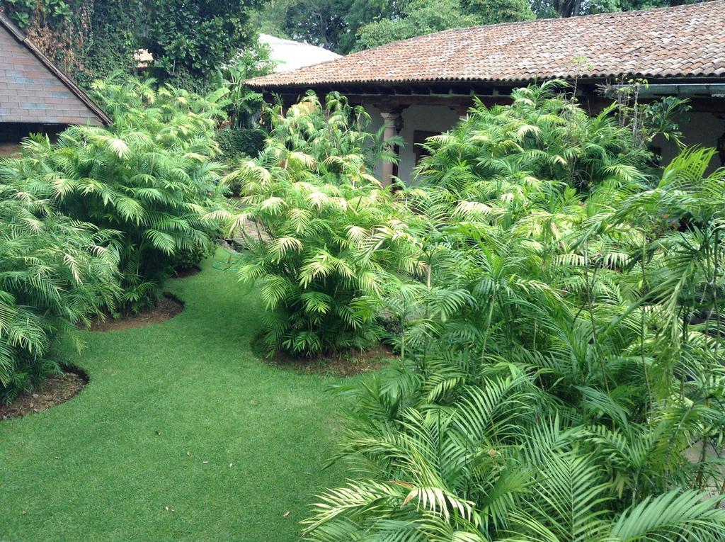 Hacienda San Pedro Uruapan (Michoacan) Exterior foto